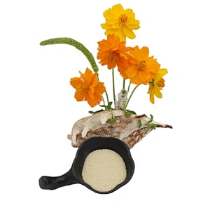 Good Quality Halal Food Grade Gelatin Powder