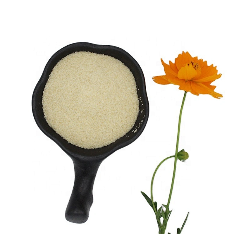 Good Quality Halal Food Grade Gelatin Powder