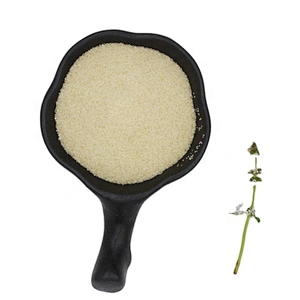 Good Quality Halal Food Grade Gelatin Powder